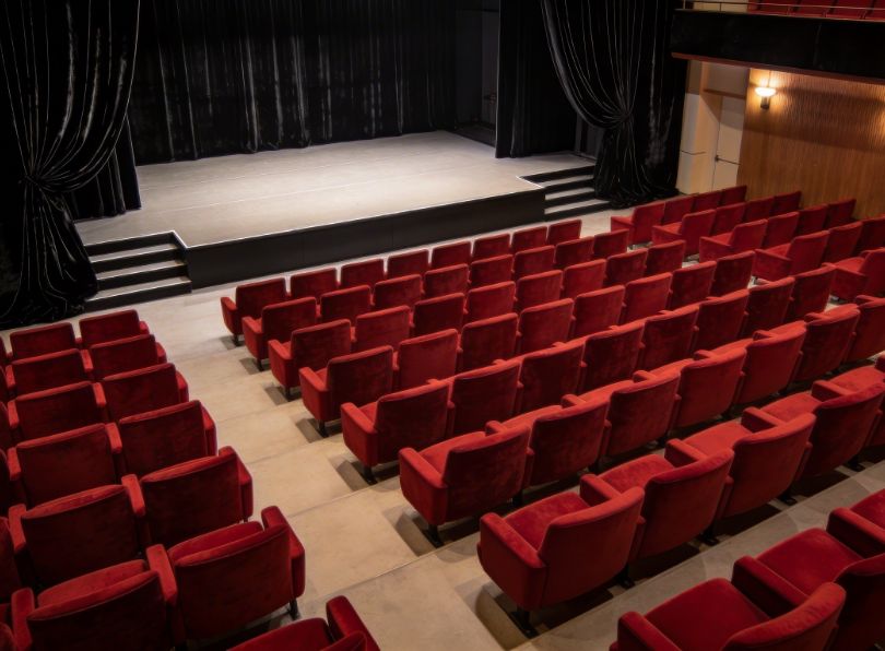 Black profile in theater cove lighting -velvet-lined niches